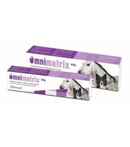 Omnimatrix 20gr